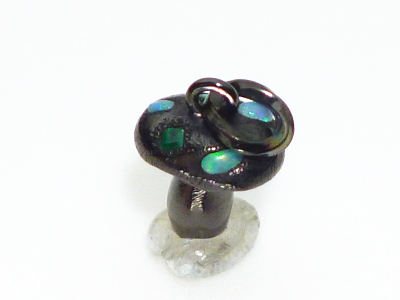 Magic Black Jemushroom Magic Black Jemushroom